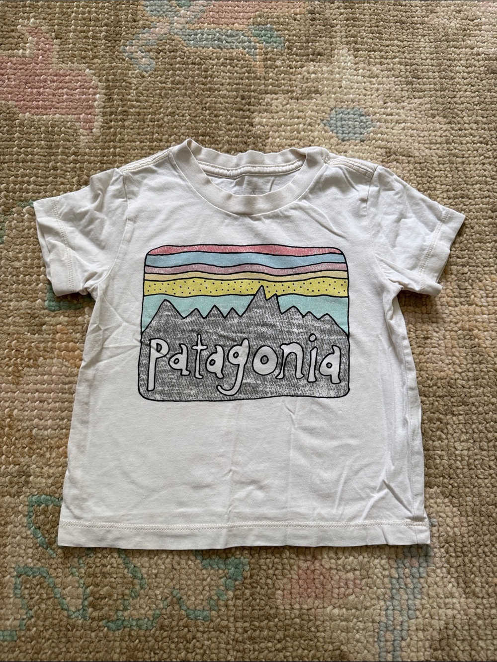 Patagonia Tee with Pastel Mountain Graphic